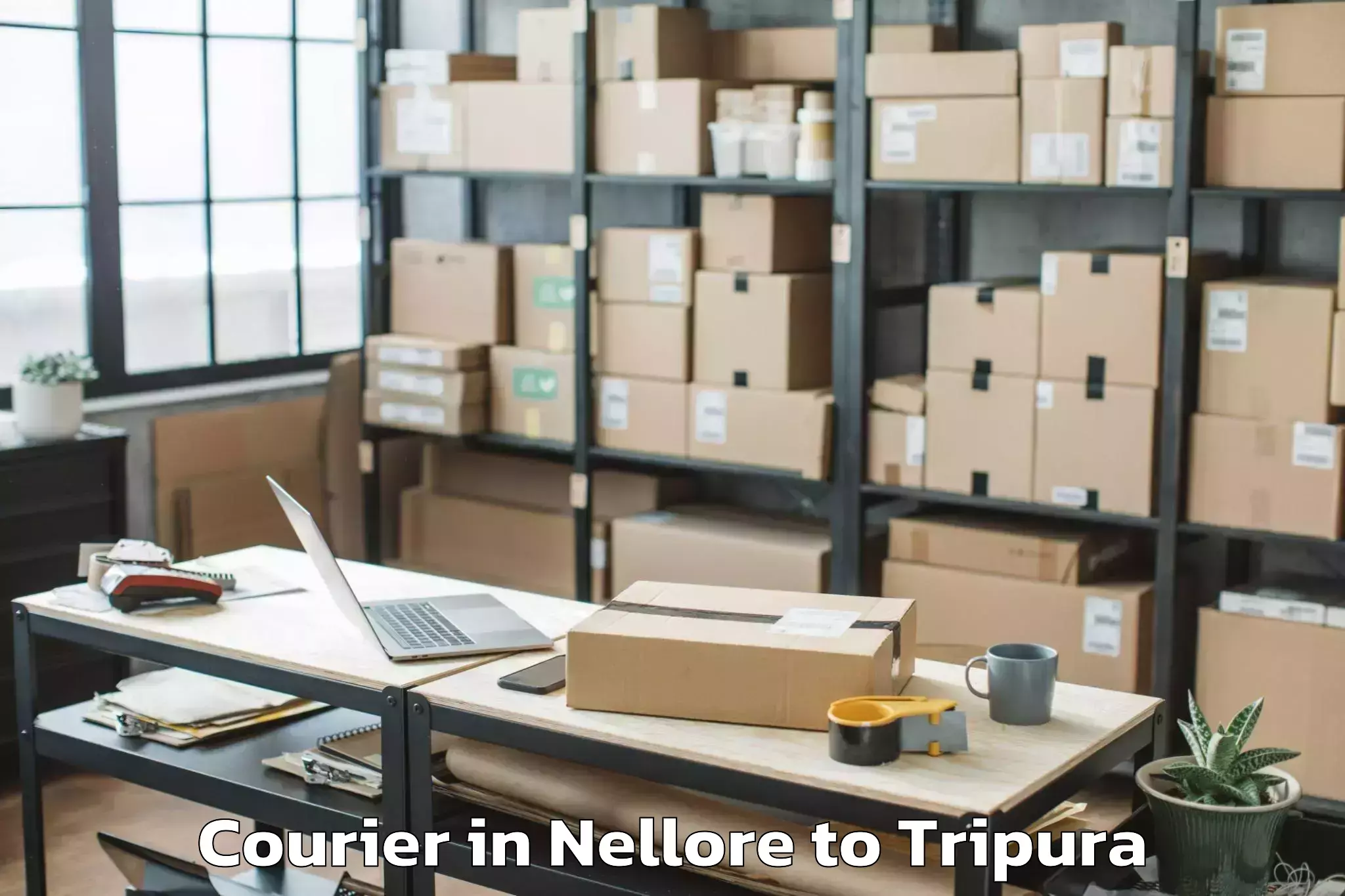 Hassle-Free Nellore to Gournagar Courier